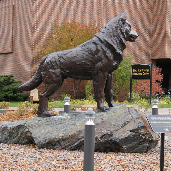 outdoors ; indoor ; bronze statue ; decorate ; Large scale ; City decoration ; garden ; Park decoration ; Dog ; Dog sculpture ; Dog statue ; Life Size ; Bronze statue foundry animal bronze hunting dog sculpture for sale