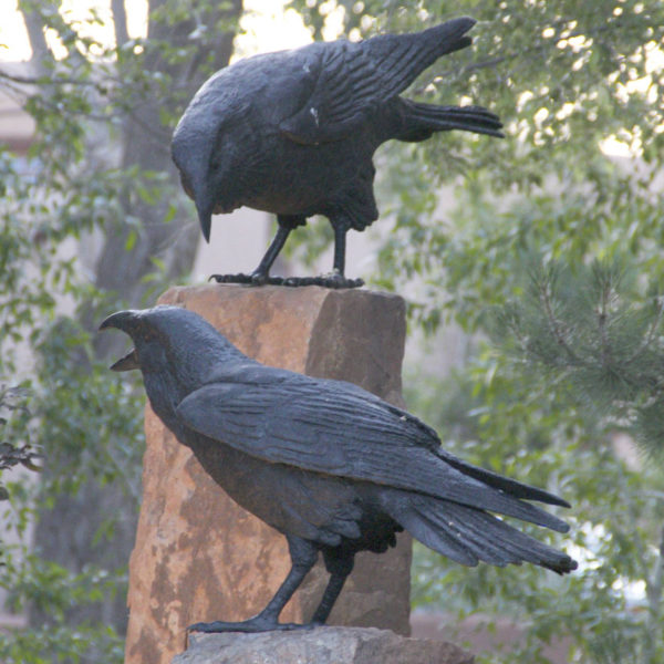 outdoors ; indoor ; bronze statue ; decorate ; Large scale ; City decoration ; garden ; Park decoration ; Bird ; Bird sculpture ; Bird statue ; Life Size ; Outdoor metal yard art large bronze magpie sculpture