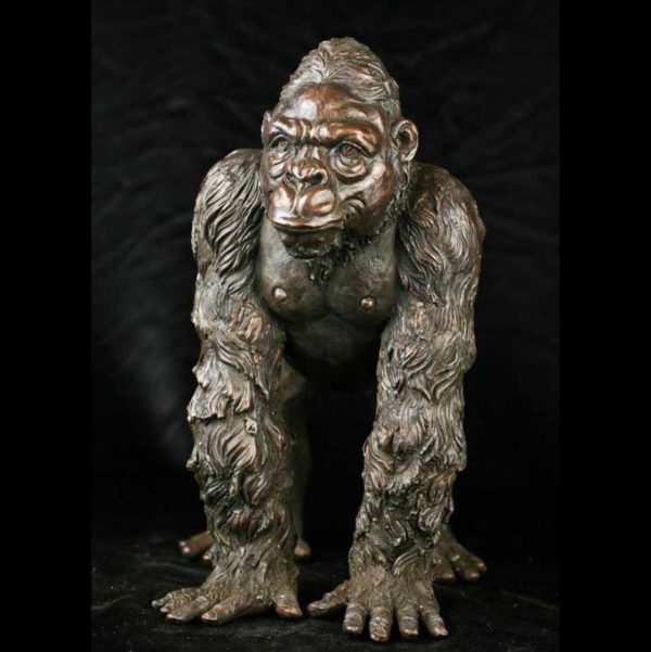 DZK-Gorilla (12) outdoors ; indoor ; bronze statue ; decorate ; Large scale ; City decoration ; garden ; Park decoration ; Gorilla ; Gorilla sculpture ; Gorilla statue ; Life Size ; Metal Craft Wildlife Sculpture Life Size Bronze Gorilla Garden Statue