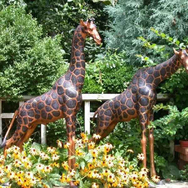 outdoors ; indoor ; bronze statue ; decorate ; Large scale ; City decoration ; garden ; Park decoration ; Giraffe ; Giraffe sculpture ; Giraffe statue ; Life Size ; Outdoor Garden Decoration Metal Bronze Giraffe Bronze Sculpture for Garden decoration
