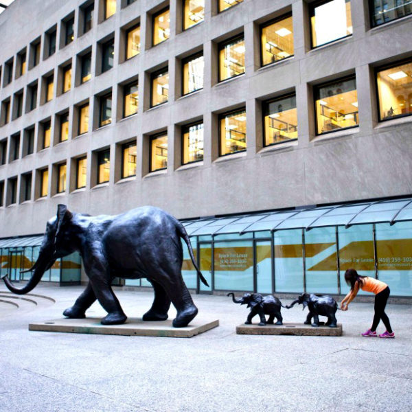 outdoors ; indoor ; Fiberglass statue ; decorate ; Large scale ; City decoration ; garden ; Park decoration ; Elephant ; Elephant sculpture ; Elephant statue ; Life Size ; cartoon ; Garden Fiberglass Decoration Resin Elephant Sculpture