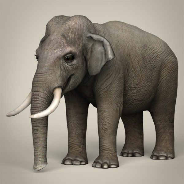 outdoors ; indoor ; Fiberglass statue ; decorate ; Large scale ; City decoration ; garden ; Park decoration ; Elephant ; Elephant sculpture ; Elephant statue ; Life Size ; cartoon ; Wild animal life size fiberglass elephant statue for sale