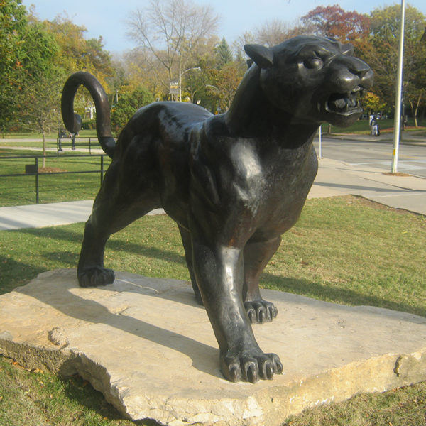 outdoors ; indoor ; bronze statue ; decorate ; Large scale ; City decoration ; garden ; Park decoration ; leopard ; panther sculpture ; panther statue ; Life Size ; Custom outdoor decor panther leopard bronze large cheetah sculpture