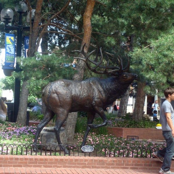 outdoors ; indoor ; bronze statue ; decorate ; Large scale ; City decoration ; garden ; Park decoration ; Elk ; Elk sculpture ; Elk statue ; Life Size ; Home and garden decor animal statue bronze art casting standing elk sculpture