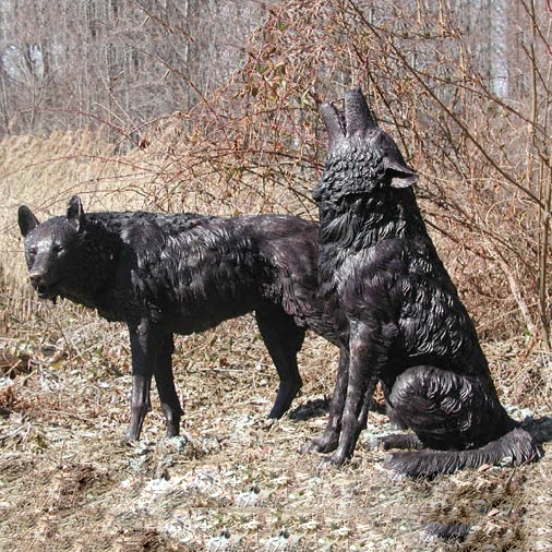 outdoors ; indoor ; bronze statue ; decorate ; Large scale ; City decoration ; garden ; Park decoration ; Wolf ; Wolf sculpture ; Wolf statue ; Life Size ; Bronze Casting Animal Life Size Bronze Wolf Sculpture