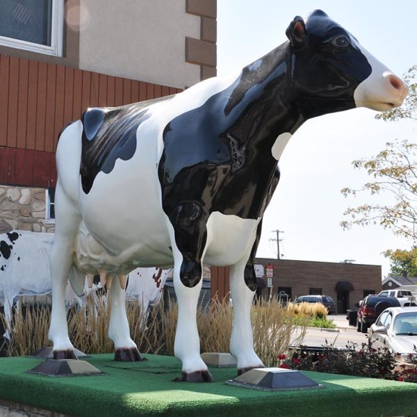 cattle-17 outdoors ; indoor ; Fiberglass statue ; decorate ; Large scale ; City decoration ; garden ; Park decoration ; Cattle ; Cattle sculpture ; Cattle statue ; Life Size ; cartoon ; Customized Life- Size Dairy Fiberglass Cattle Sculpture
